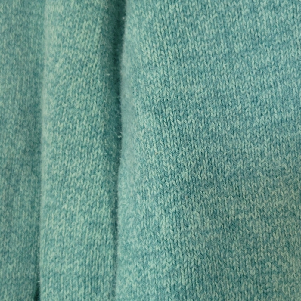 Pretty Blue 🐢 🐢 🐢 - Picture 6 of 6